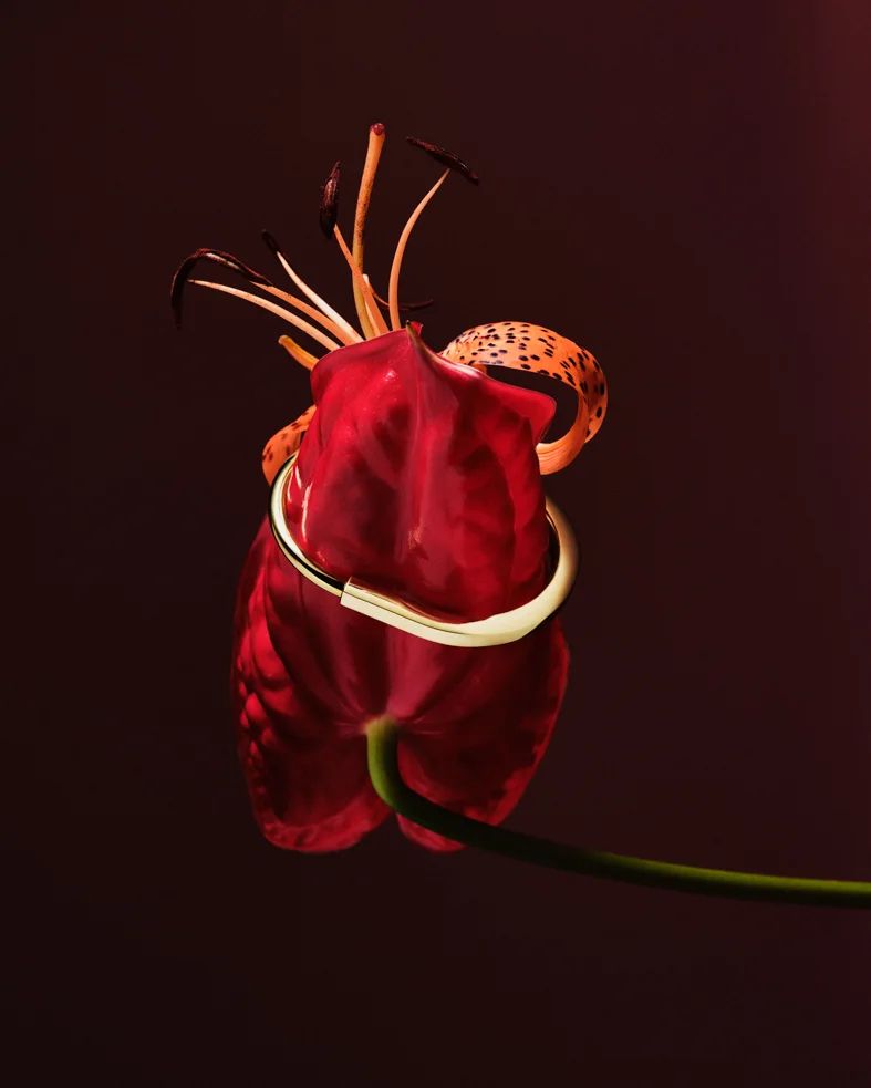 L'Officiel USA |  Aug. 22