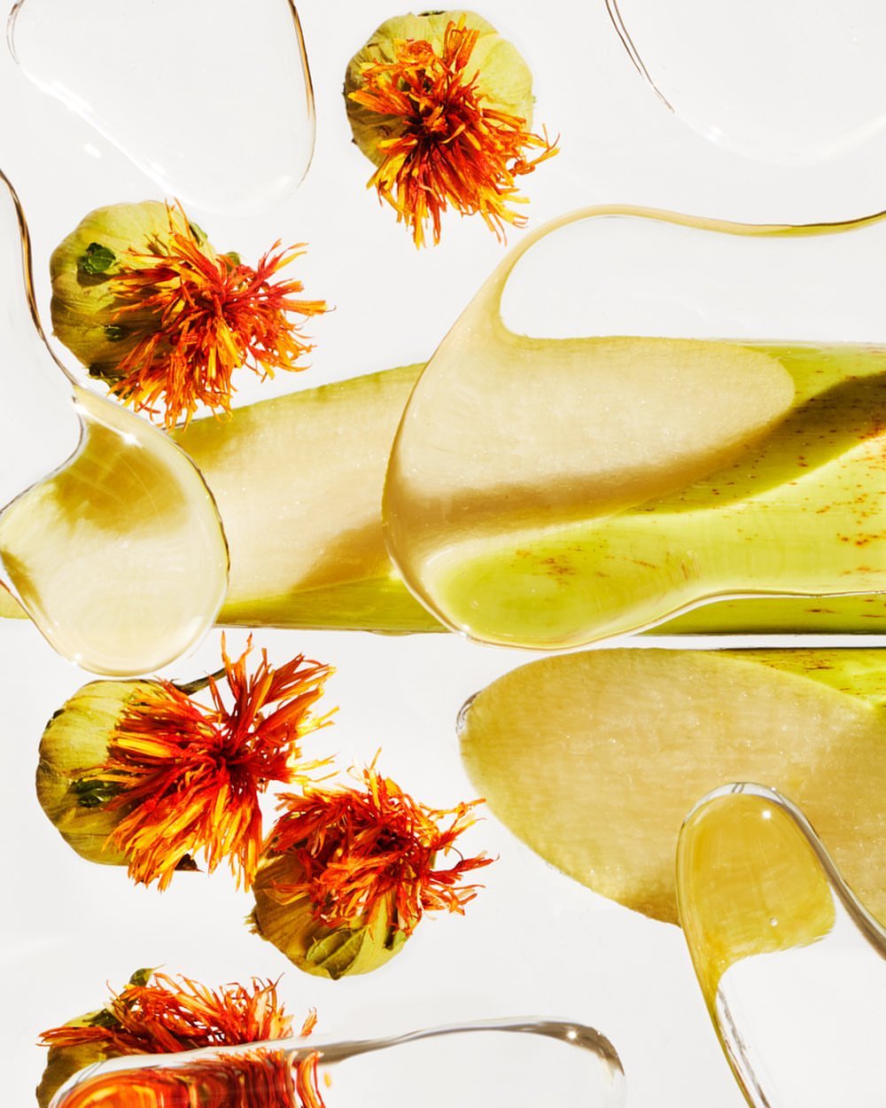 EcoFabulous |  Jan. 23