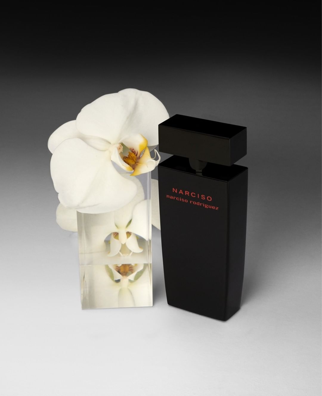 Narciso Rodriguez |  Aug. 23