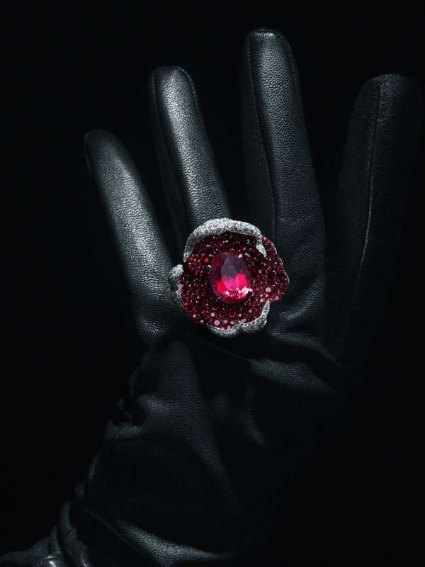 The @Gucci High Jewellery Collection shot b...