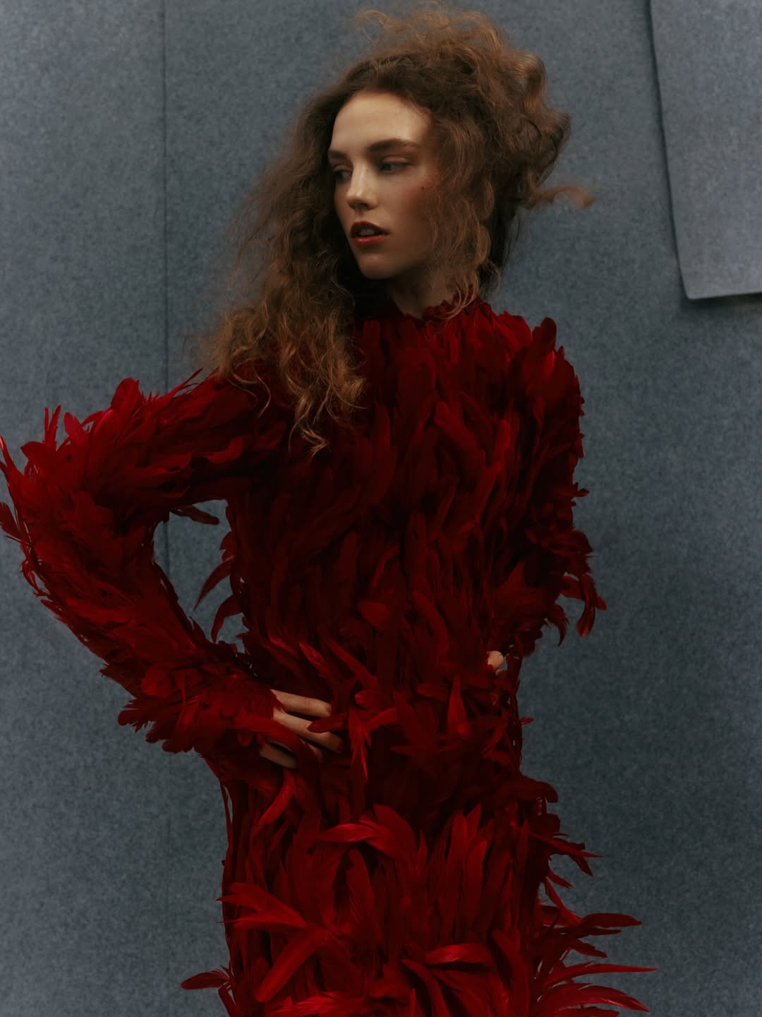 Gautier Pellegrin X Amica Oct. 25