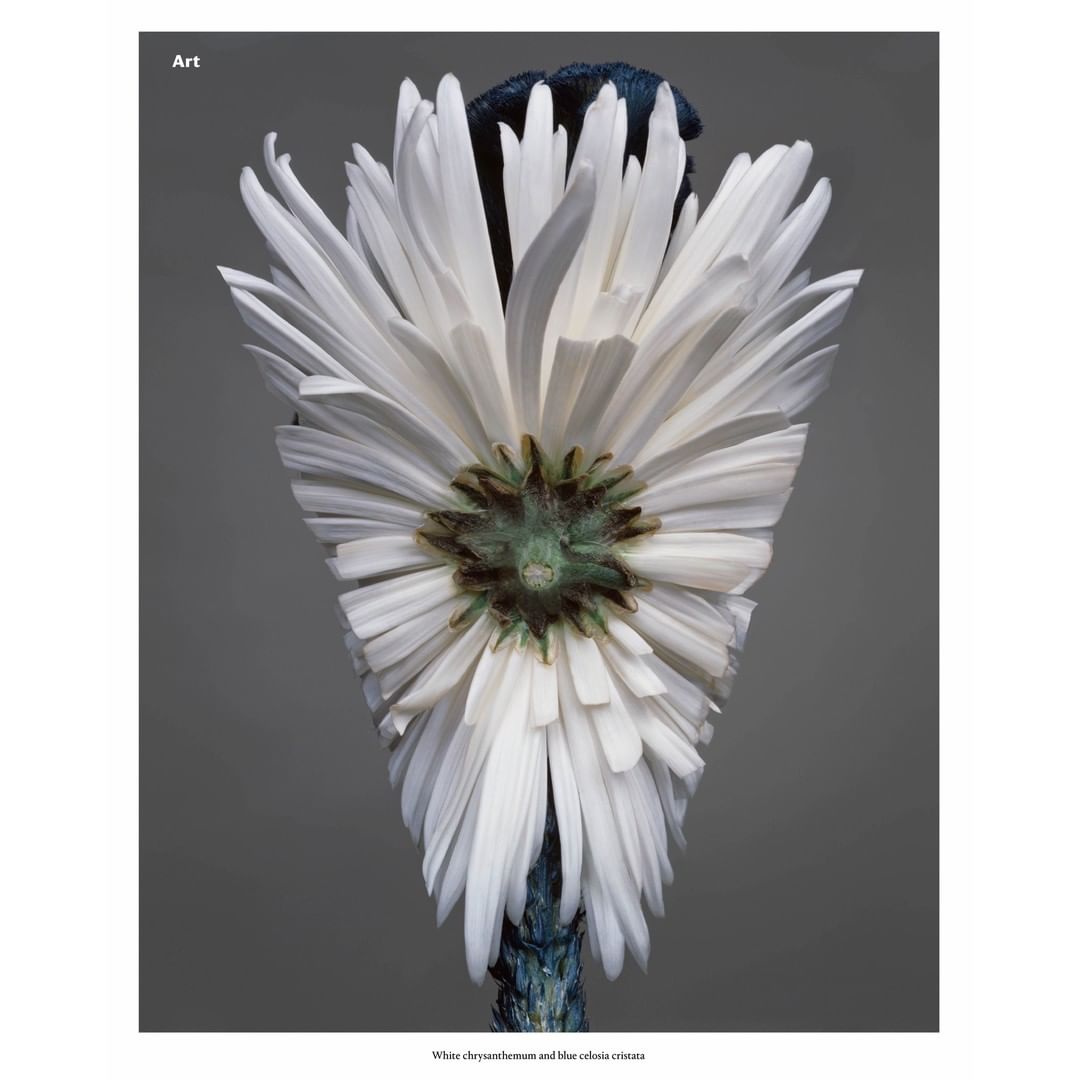 Wallpaper Magazine |  Sep. 19