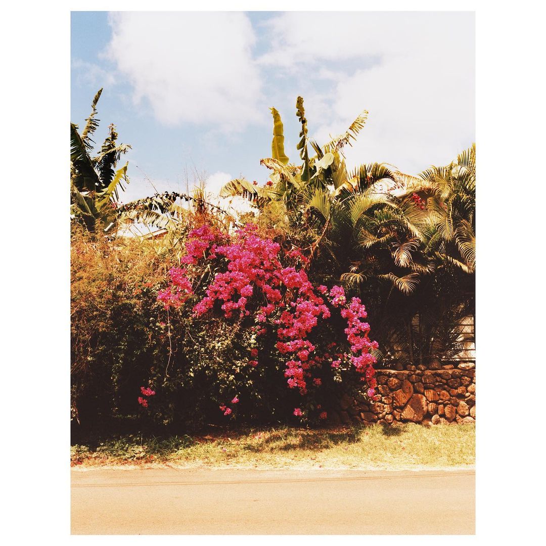 WSJ. Magazine |  May. 21