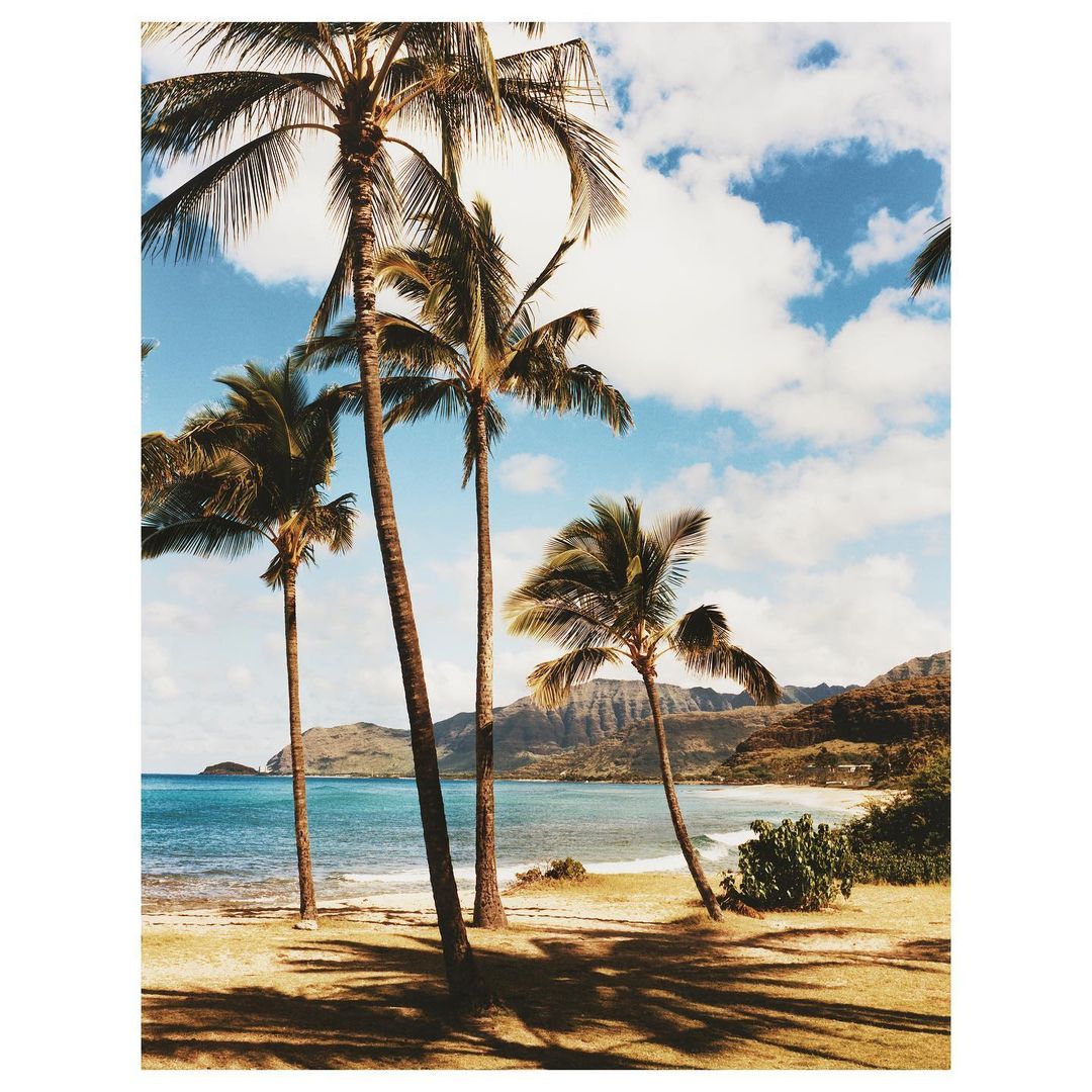 WSJ. Magazine |  May. 21