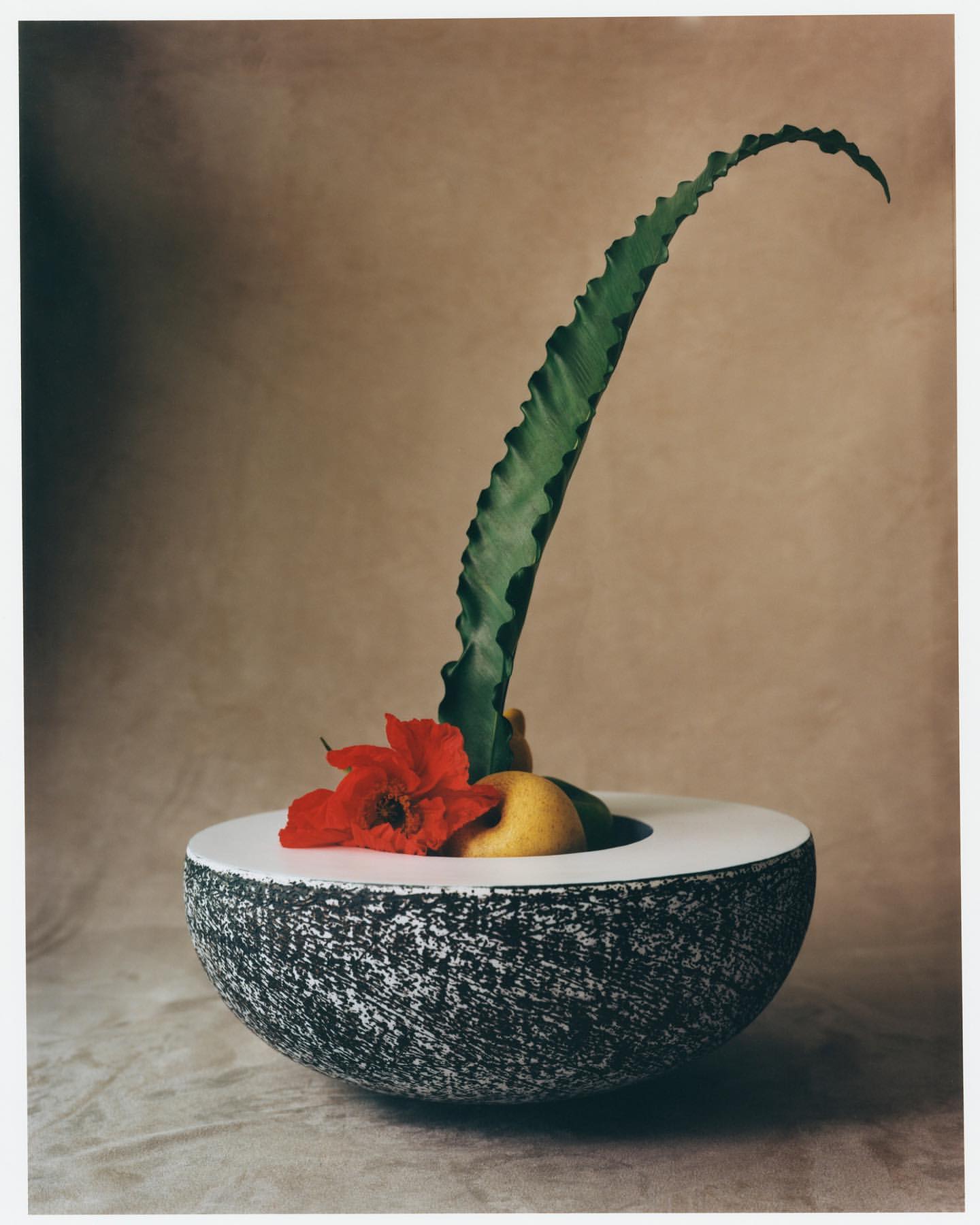 Numéro art |  Jul. 21