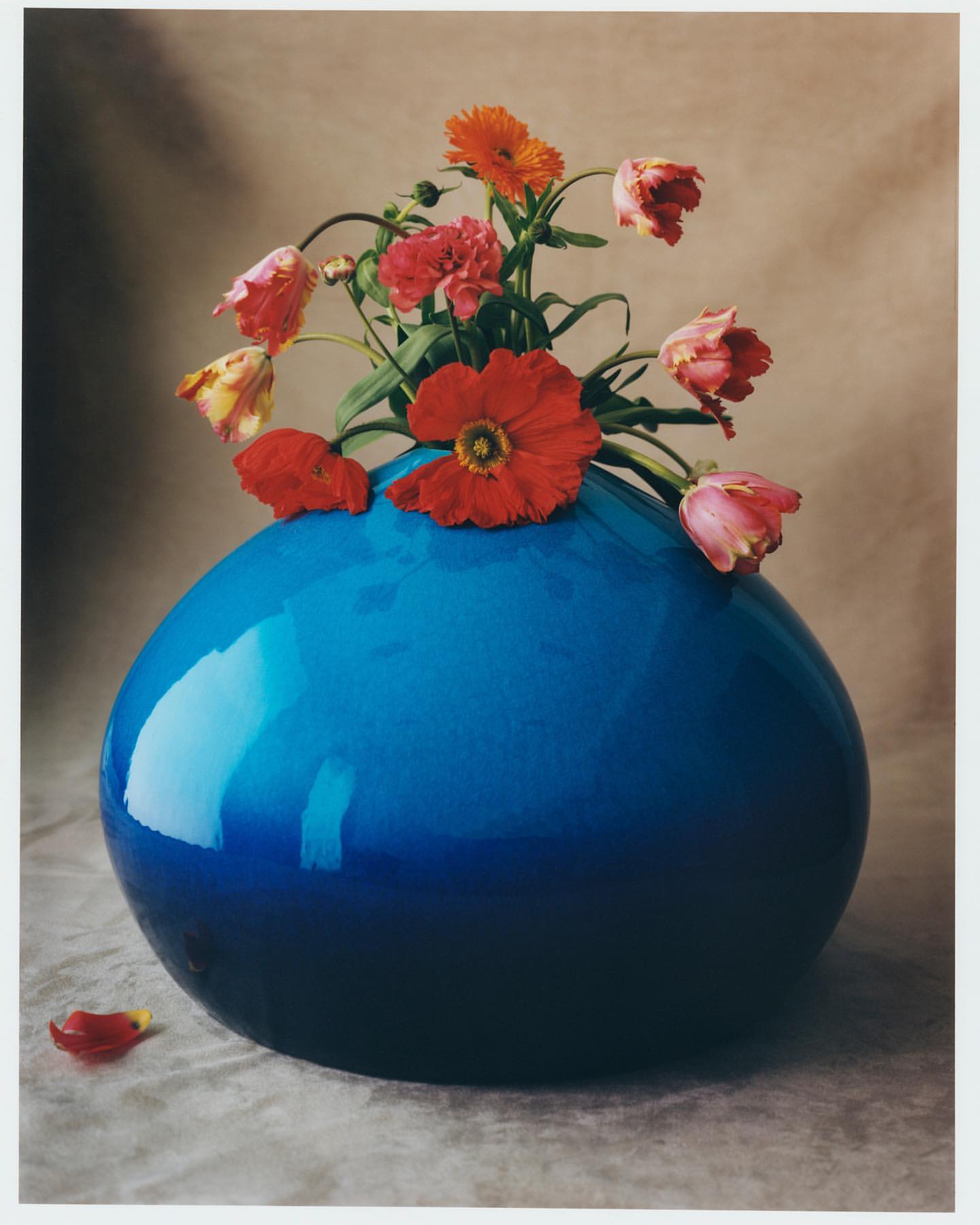 Numéro art |  Jul. 21