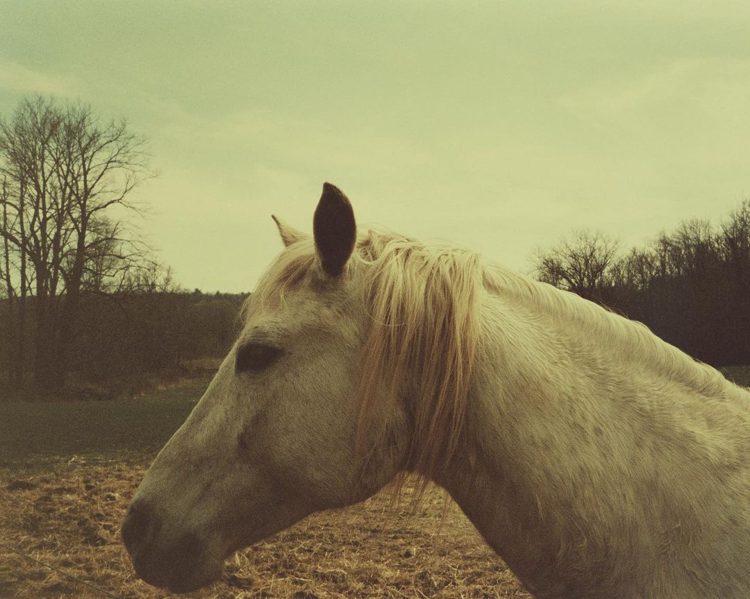 Dashwood Books |  Jul. 23