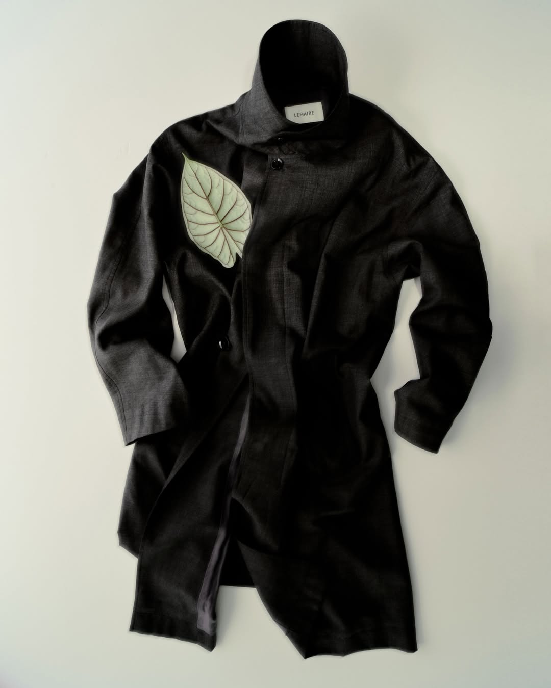 <a href="/chelsie-craig">Chelsie Craig</a> <span style="text-transform: none; white-space: nowrap;">Feb. 26</span>