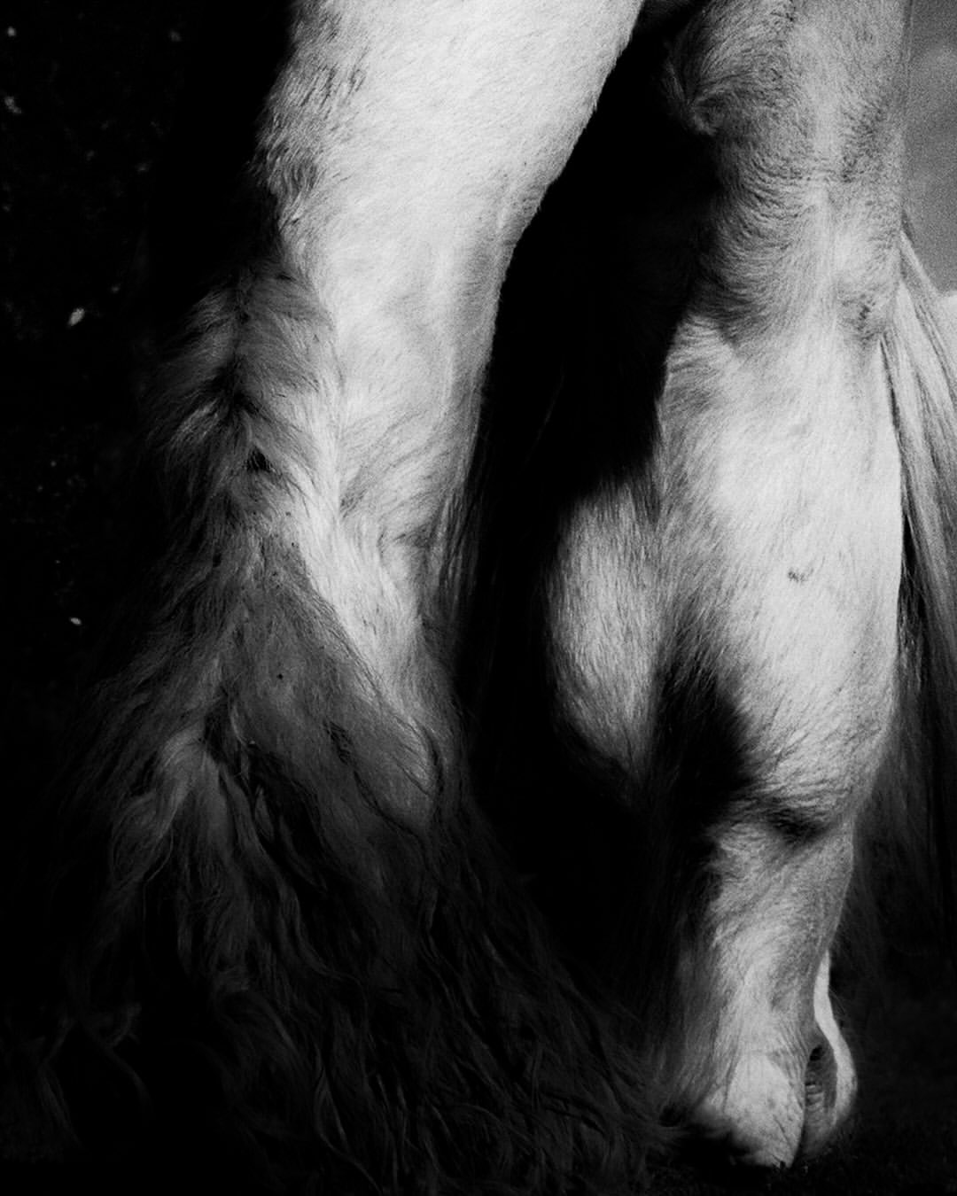 Anastasiia Duvallie Feb. 26