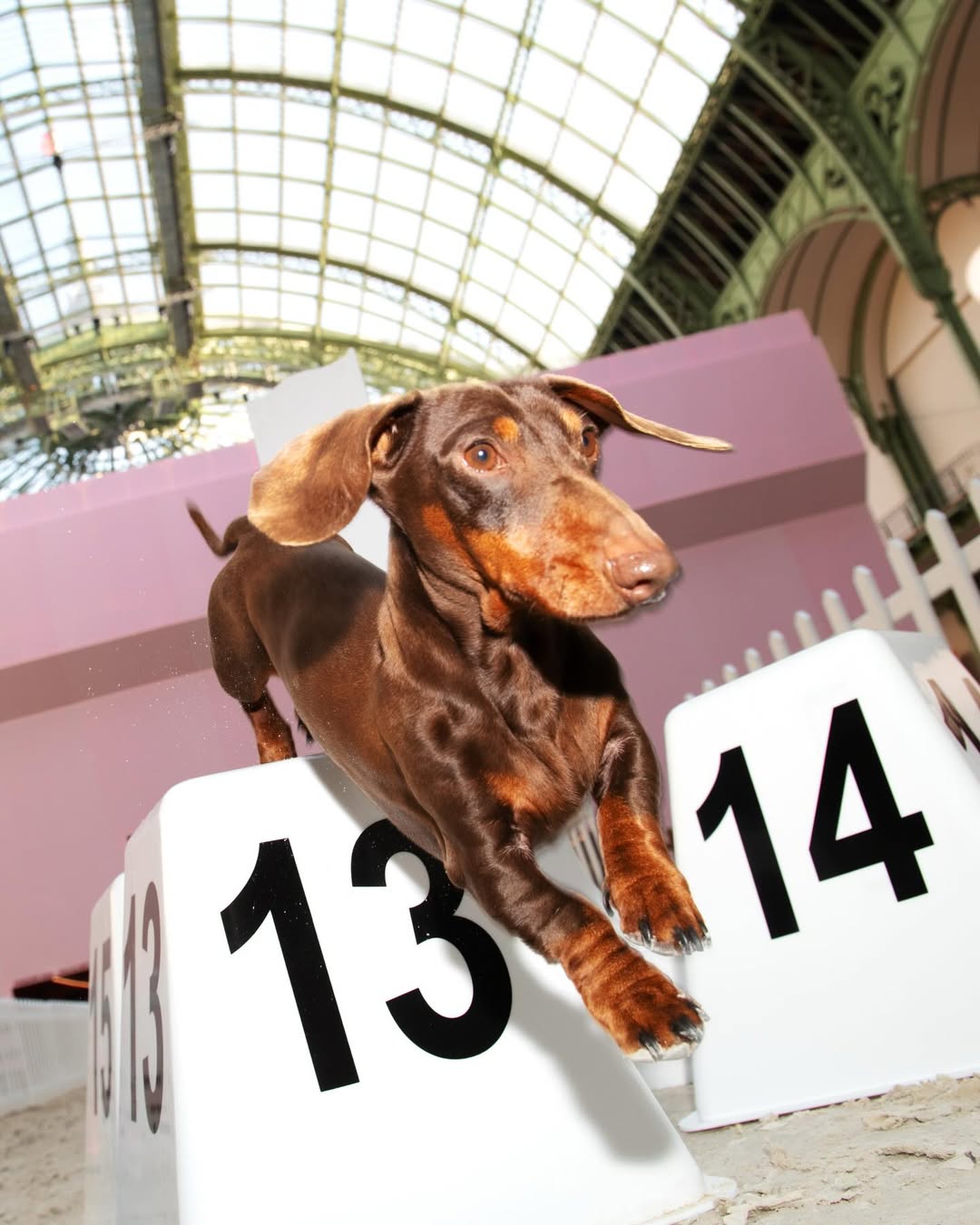 <a href="/tanguy-sergheraert">Tanguy Sergheraert</a> <span style="text-transform: none; white-space: nowrap;">Mar. 26</span>