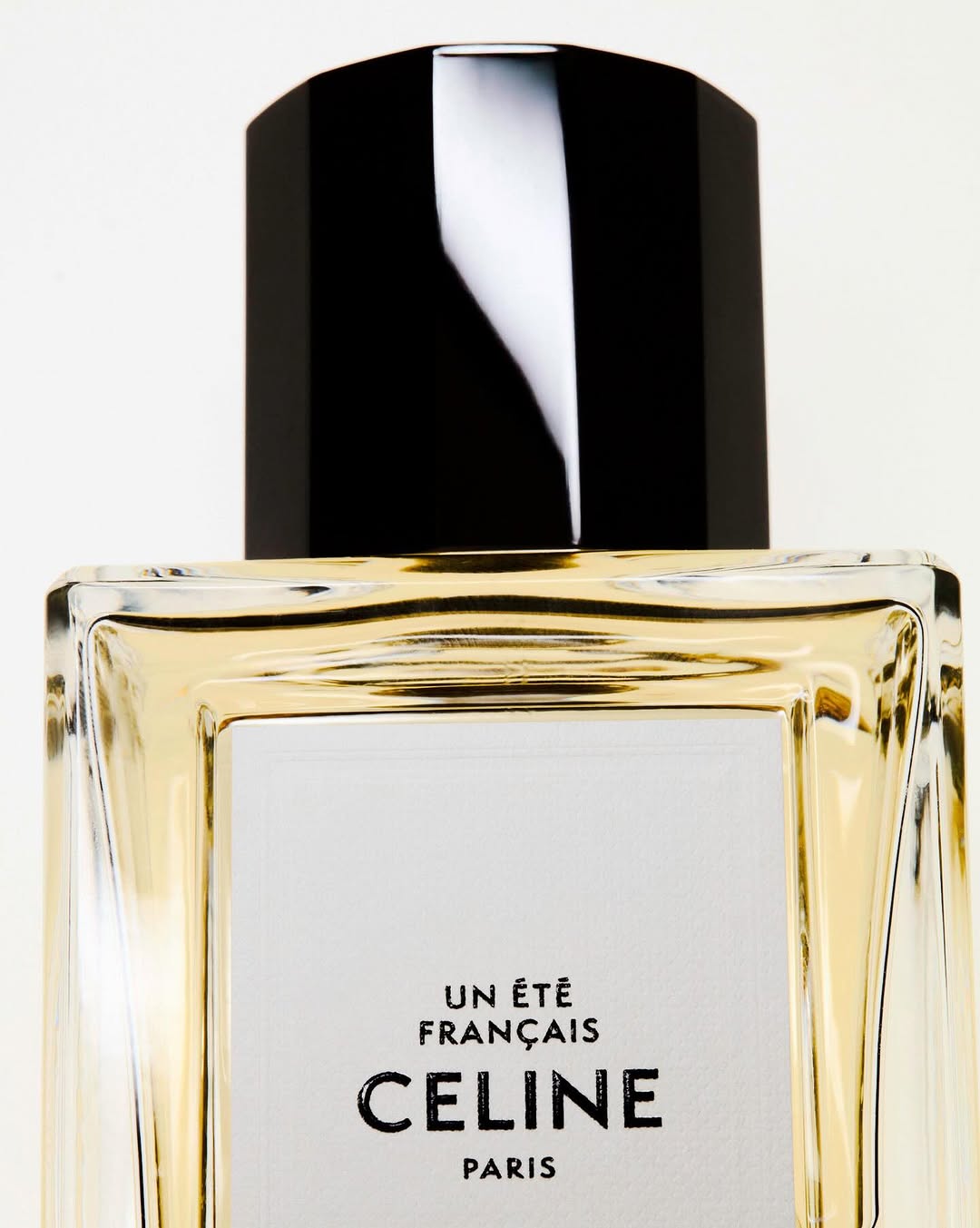 Anna Pogossova X LOVE WANT