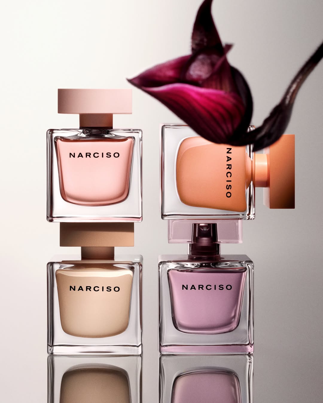 Chelsie Craig X Narciso Rodriguez