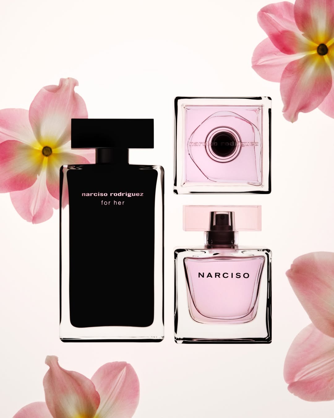 Chelsie Craig X Narciso Rodriguez