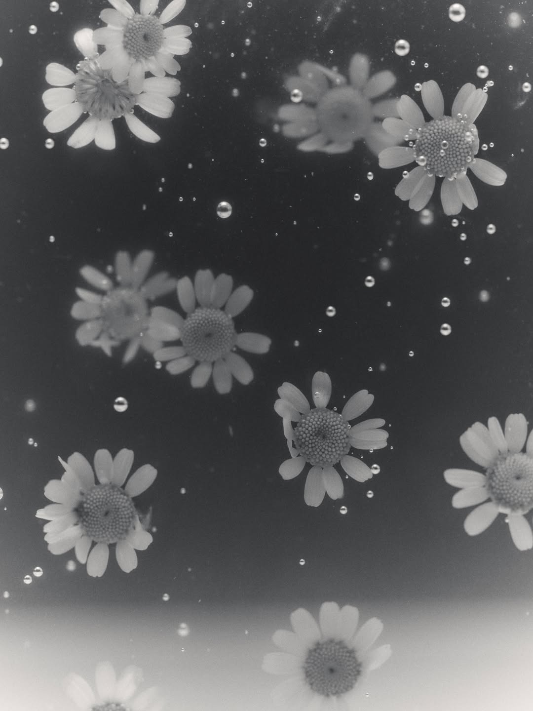 Rahel Weiss X REOME Sep. 26
