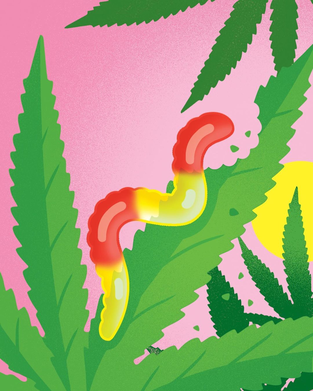 Different Leaf |  Oct. 23