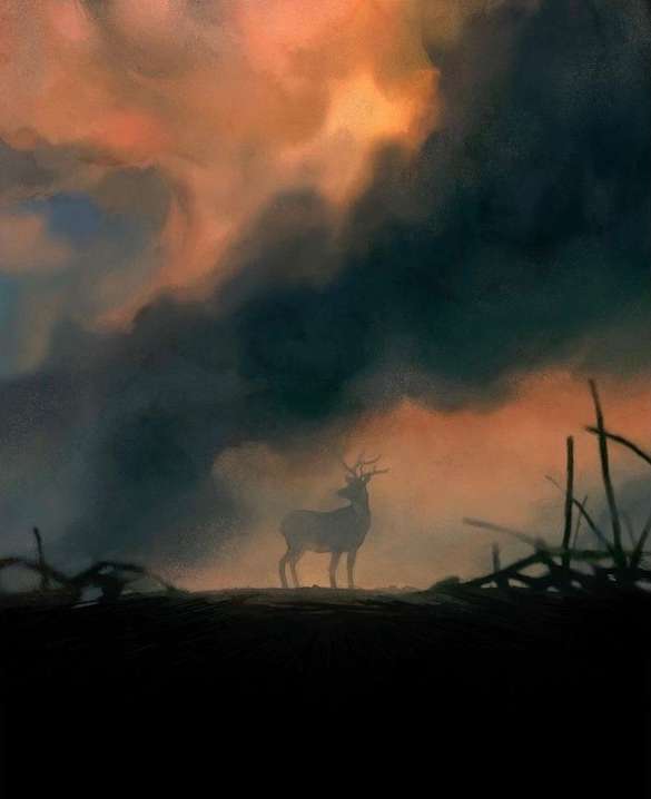 The New York Times |  Nov. 23