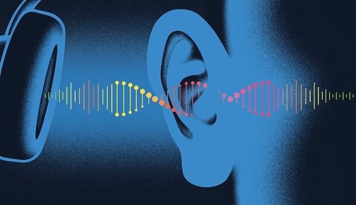 Vanderbilt University Medical Center |  Nov. 23