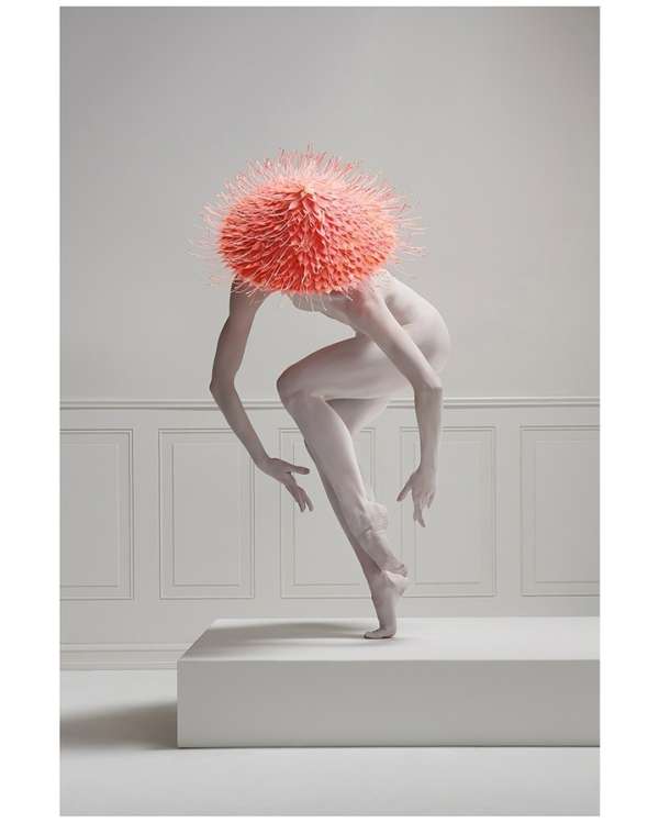 Rachel Neville