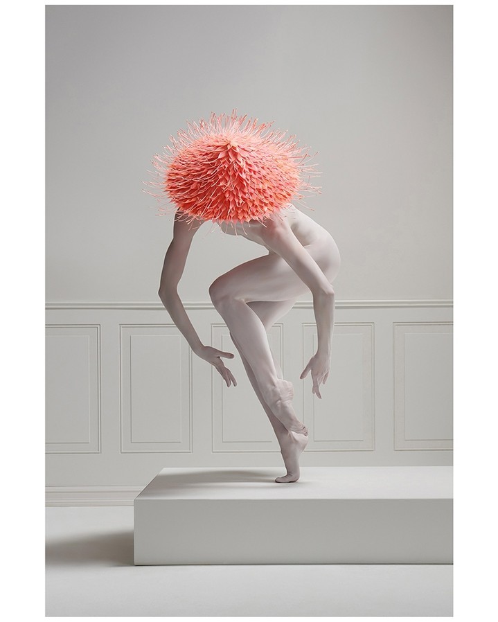 Rachel Neville
