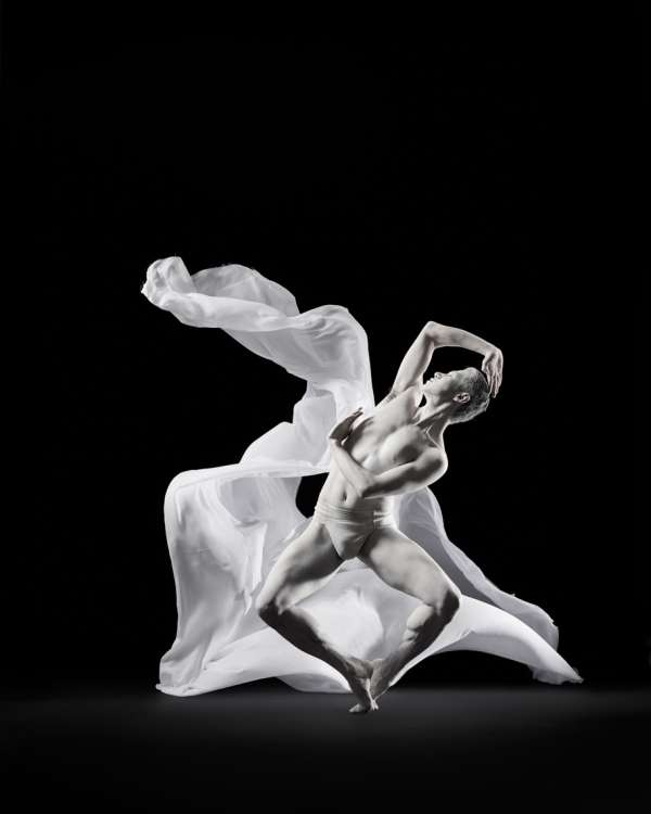 Rachel Neville