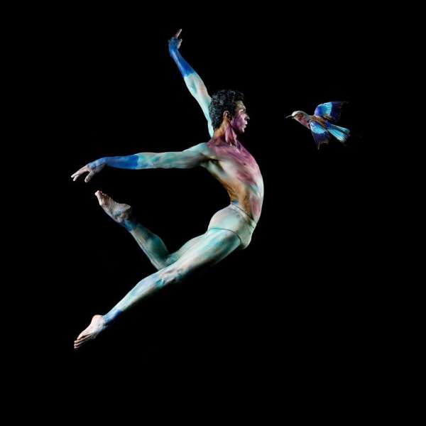 Rachel Neville