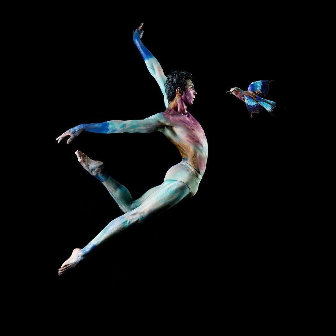 Rachel Neville