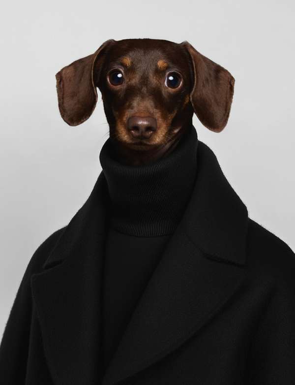 Rankin
