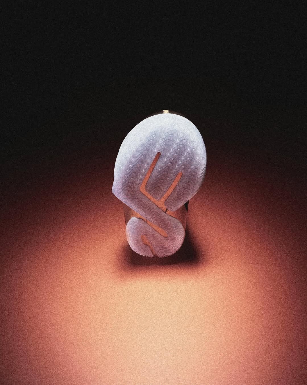 <a href="/raphael-schmitz">Raphael Schmitz</a> X Nike <span style="text-transform: none; white-space: nowrap;">Dec. 25</span>