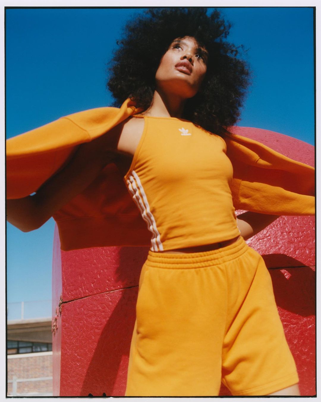 Adidas Originals |  Aug. 22