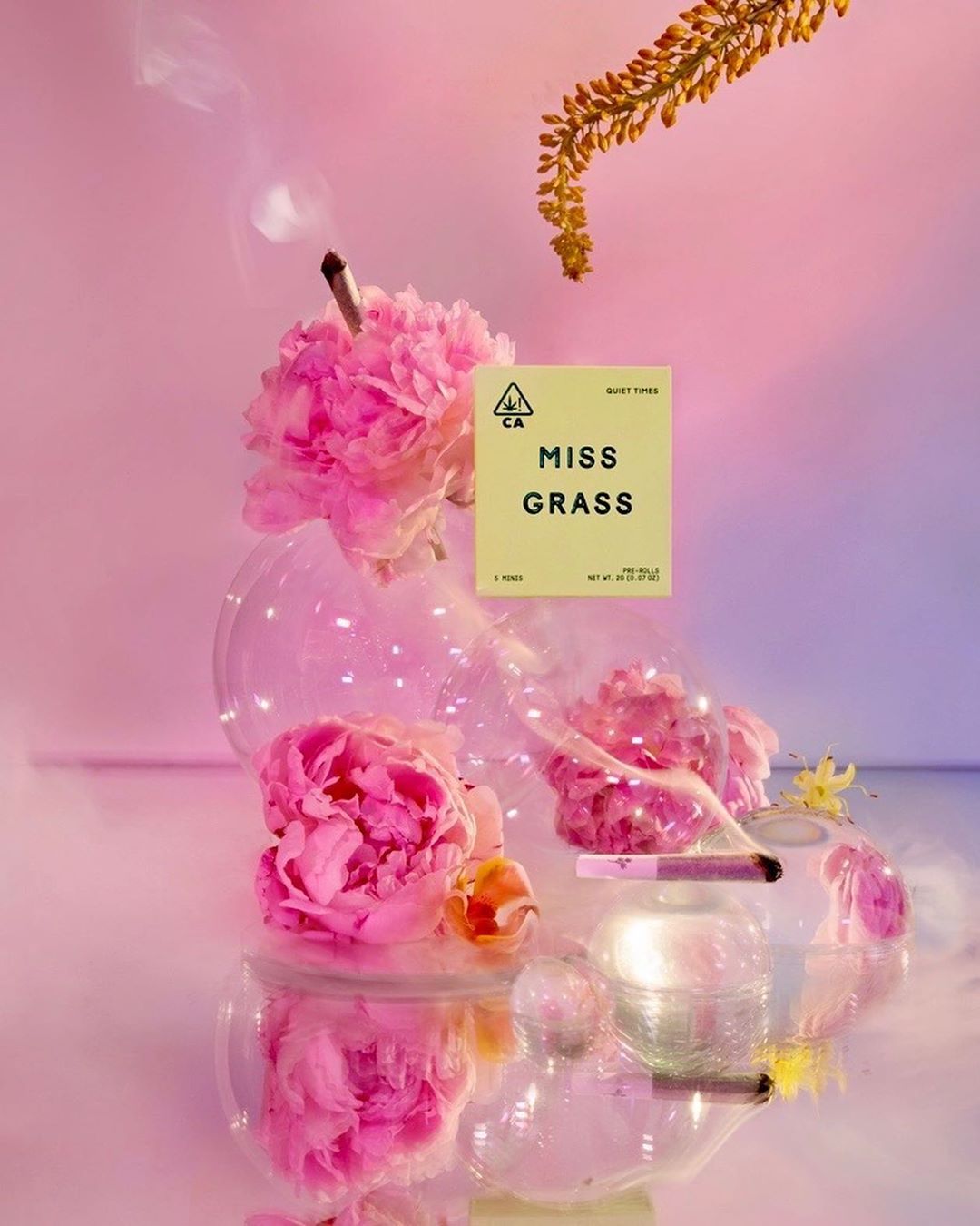 Miss Grass |  Sep. 20