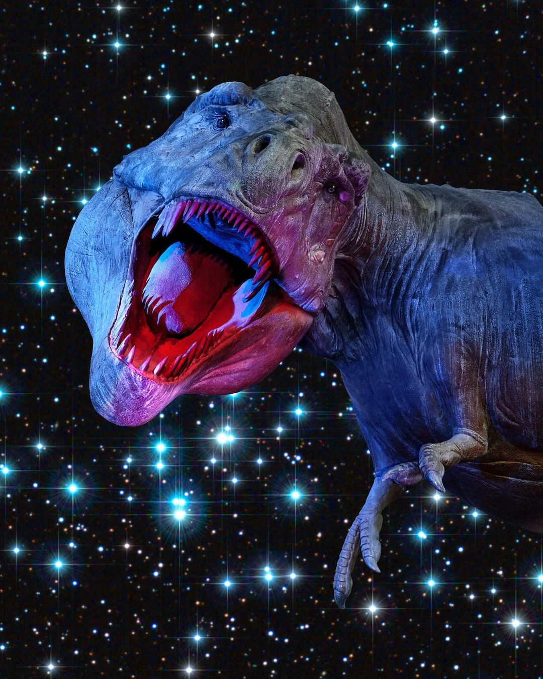 Natural History Museum of L.A. |  May. 23