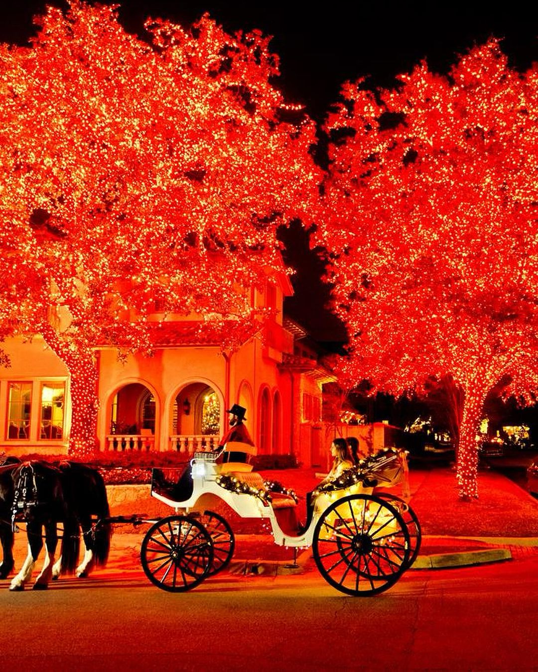 Southern Living |  Dec. 23