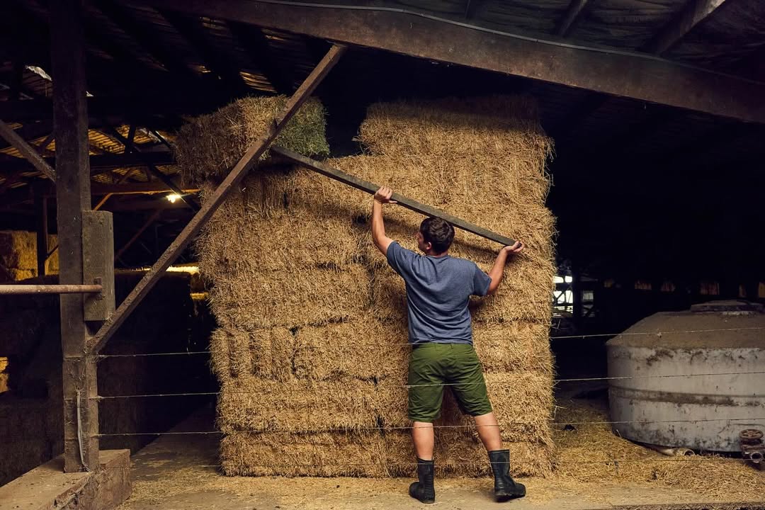 Ryan Young X Tillamook Oct. 25