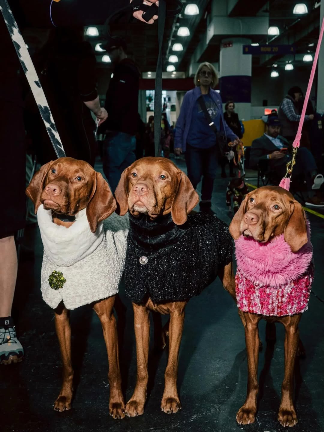 Poupay X Vogue US Feb. 26