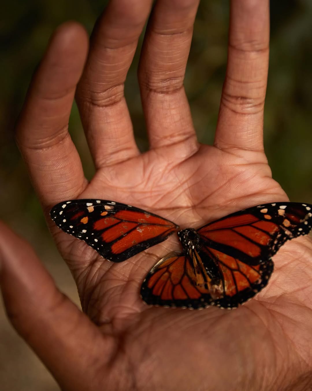 Bailey Rebecca Roberts