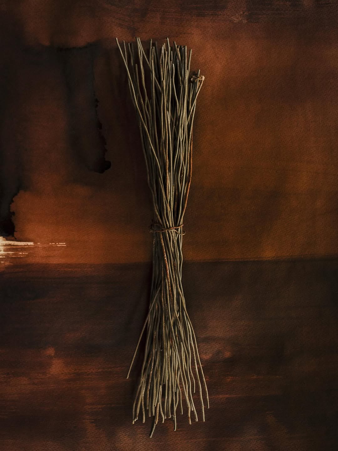 Amélie Chassary X PhotoSaintGermain Nov. 25