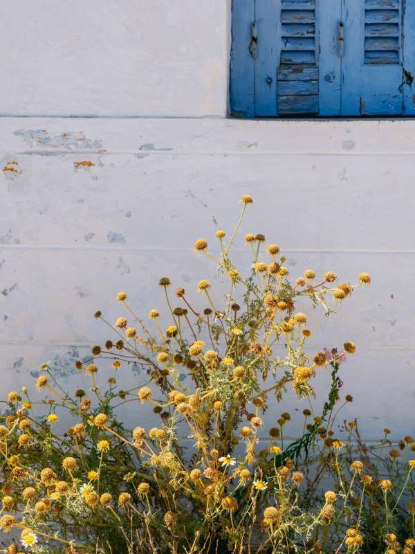 Renaud Marion