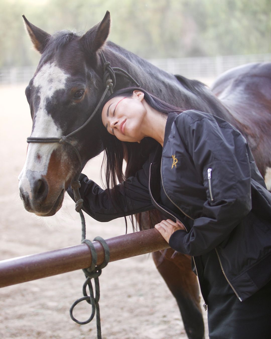 PEACE TRIBE |  Dec. 23