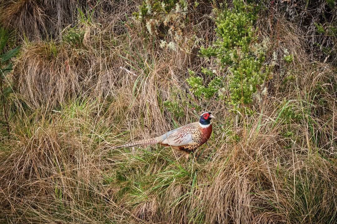 Beth Perkins Mar. 26