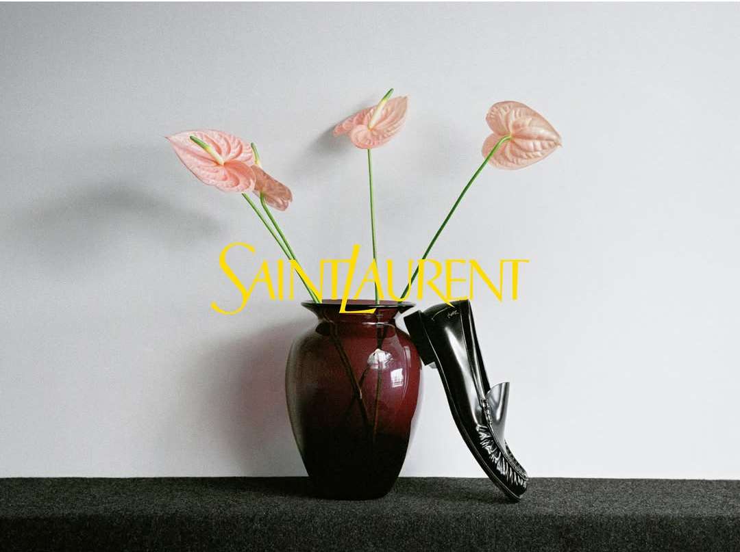 Talia Chetrit X Saint Laurent
