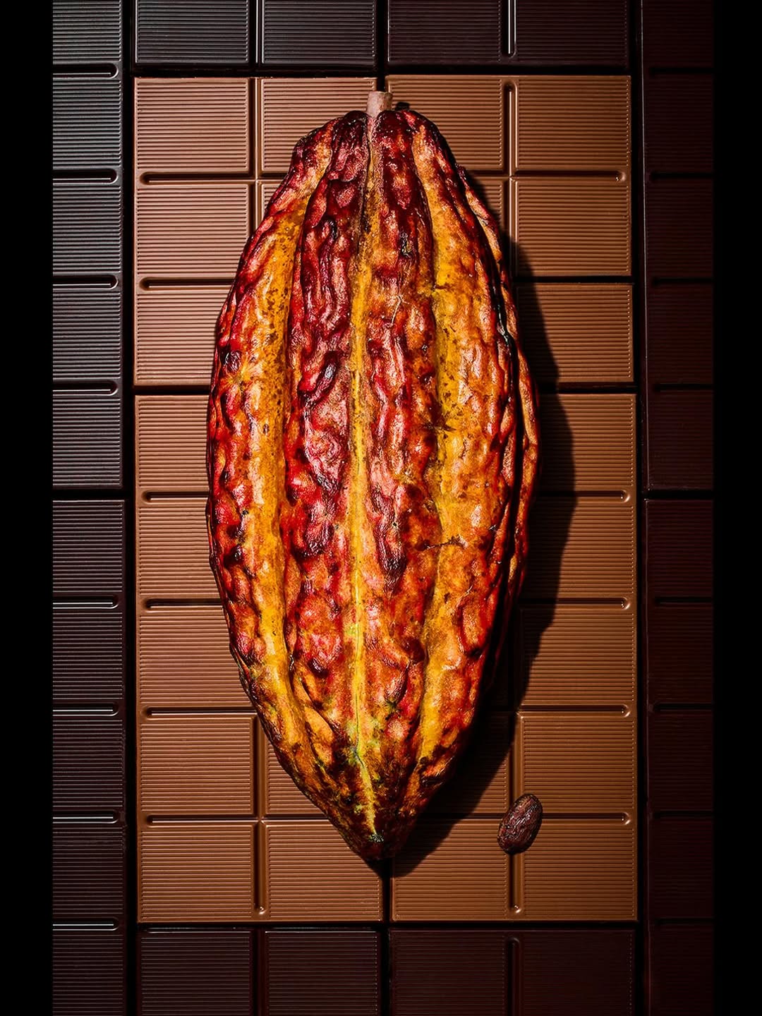 Richard Pullar X Association of Photographers Oct. 25