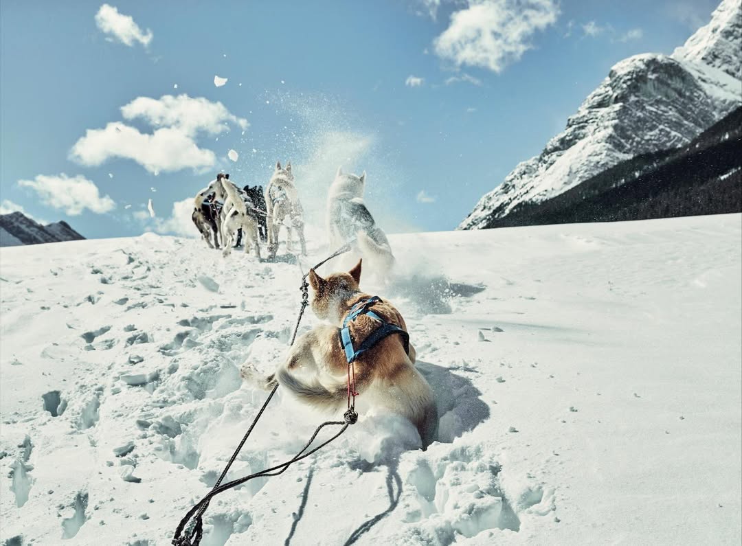 River Jordan X Filson