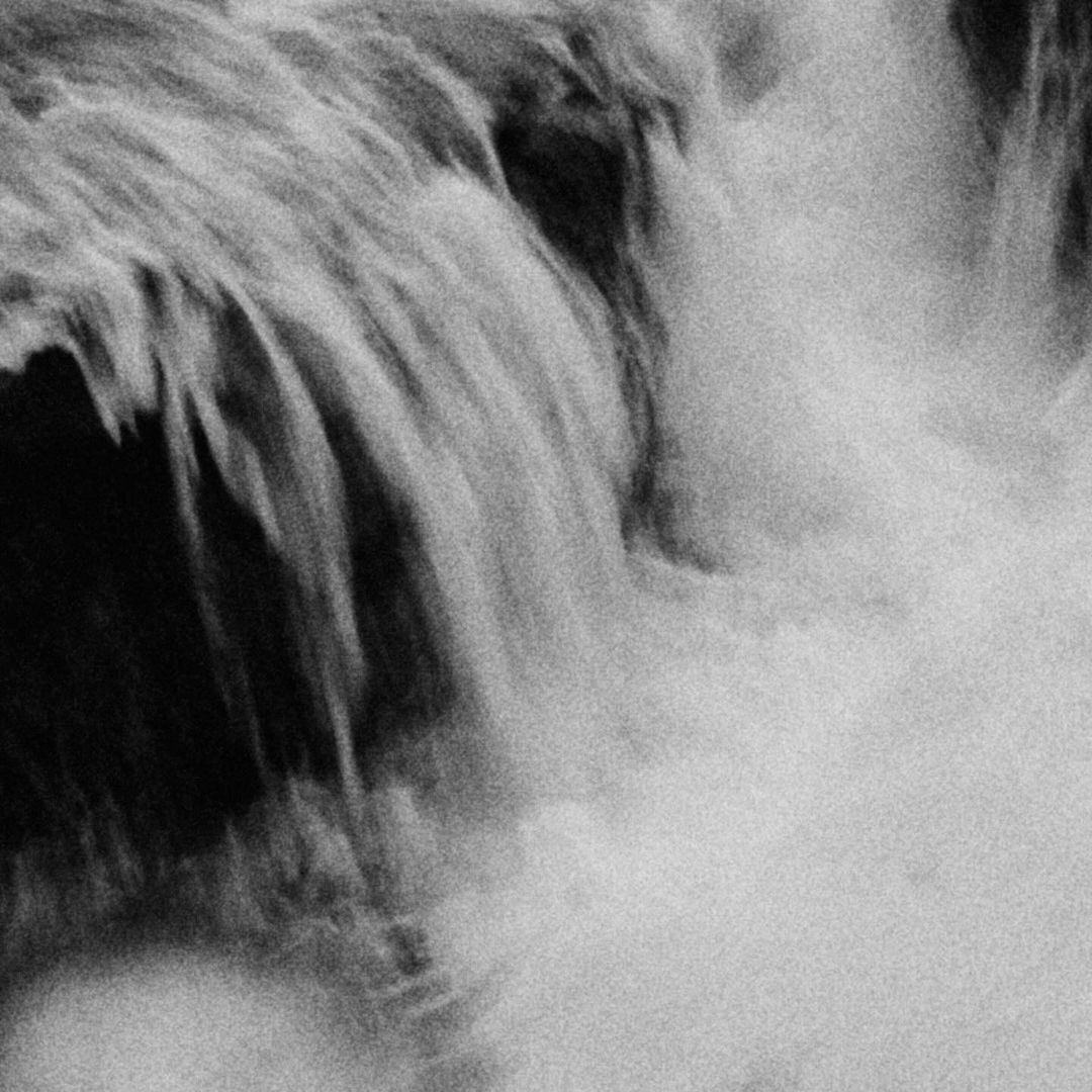 Wasted Talent |  Jan. 24