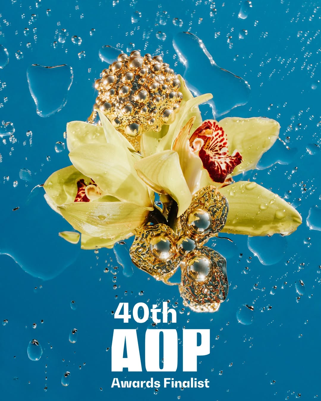 Rocio Chacon X Association of Photographers Aug. 25