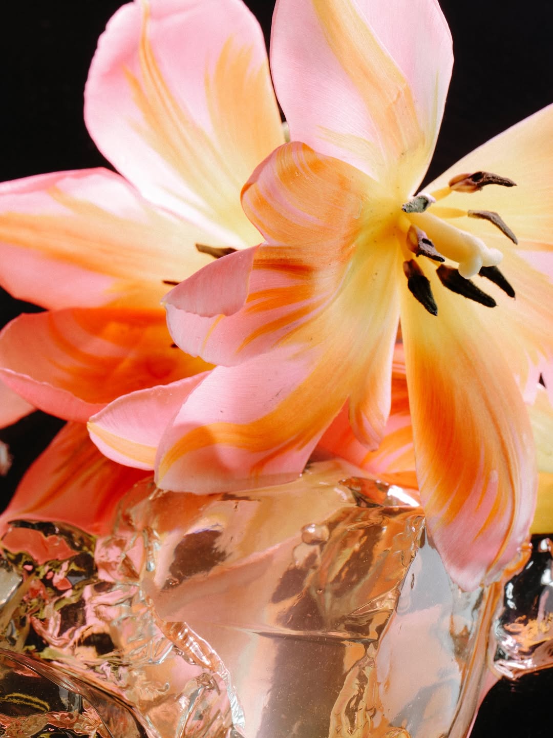 Rocio Chacon X Rakesprogress magazine Feb. 26