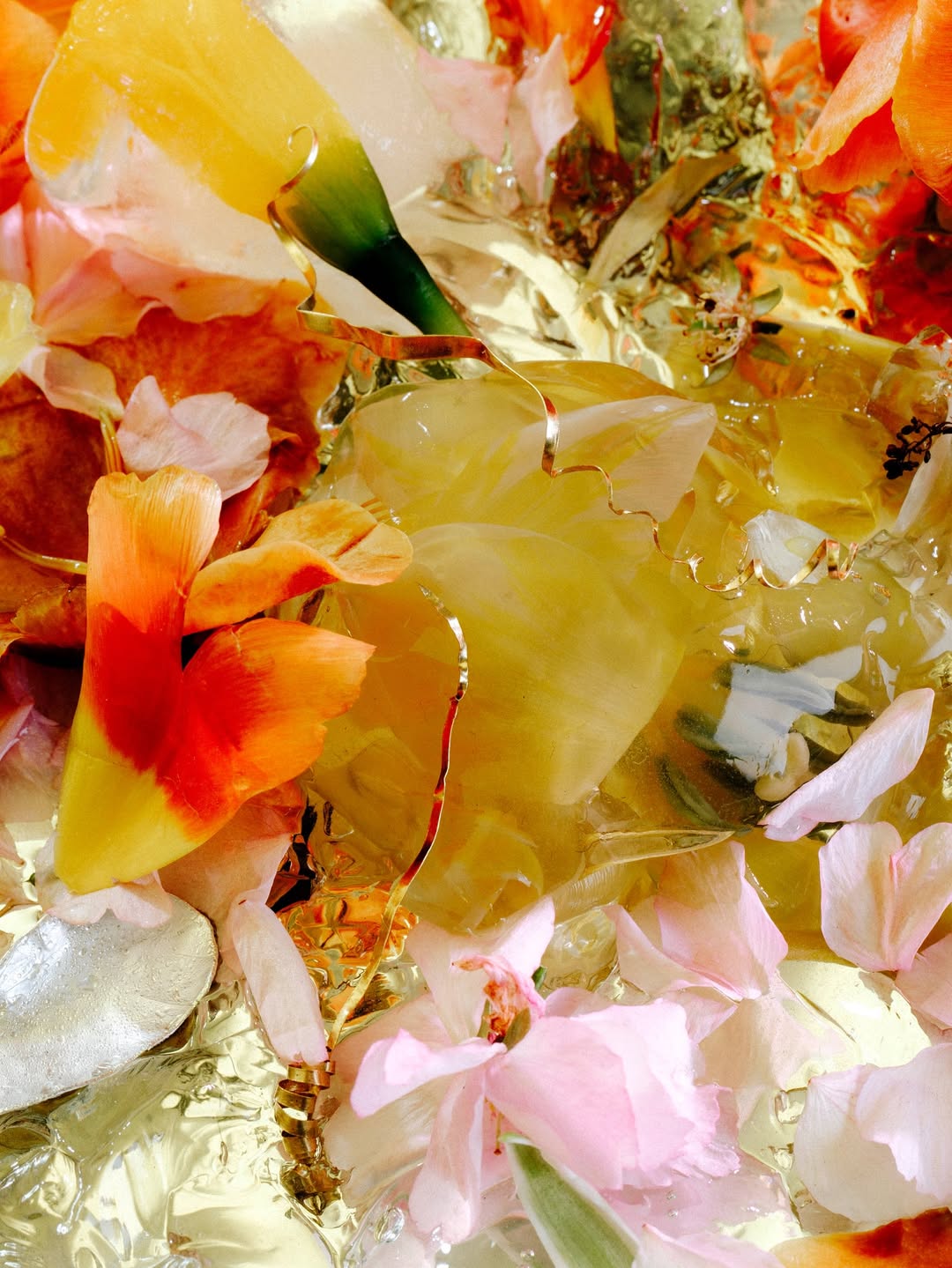 Rocio Chacon X Rakesprogress magazine Feb. 26