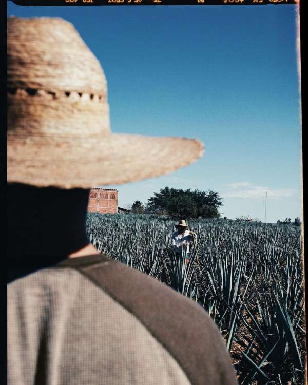Pía Riverola