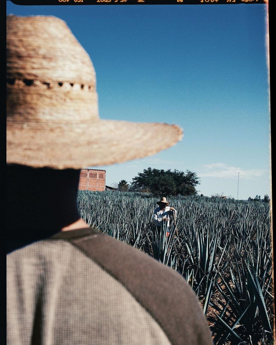 Pía Riverola
