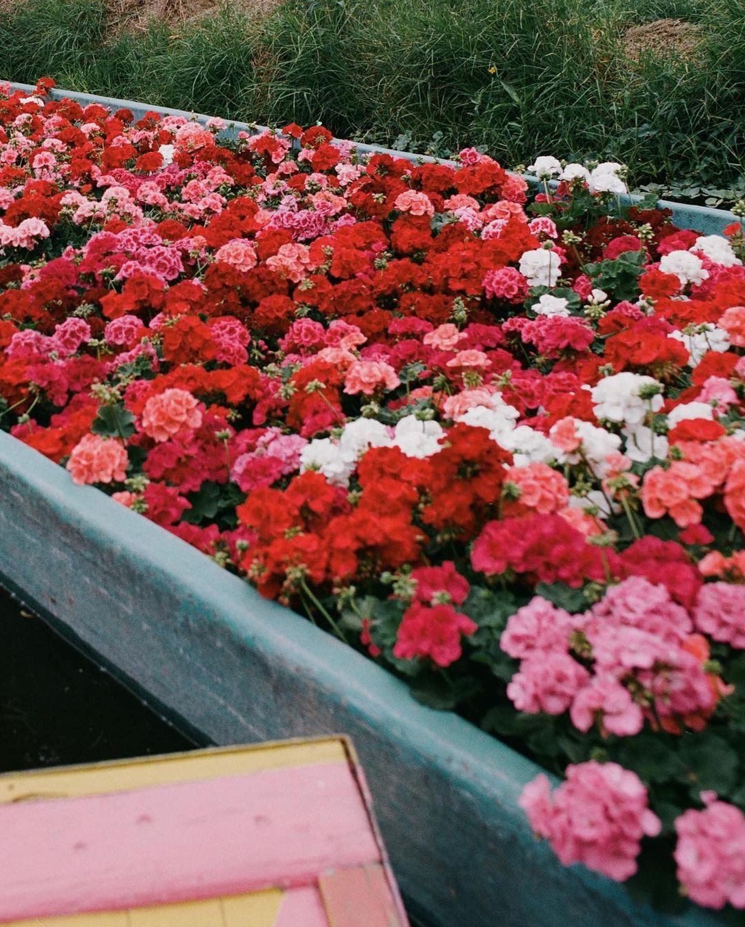 Blumenhaus |  Sep. 23