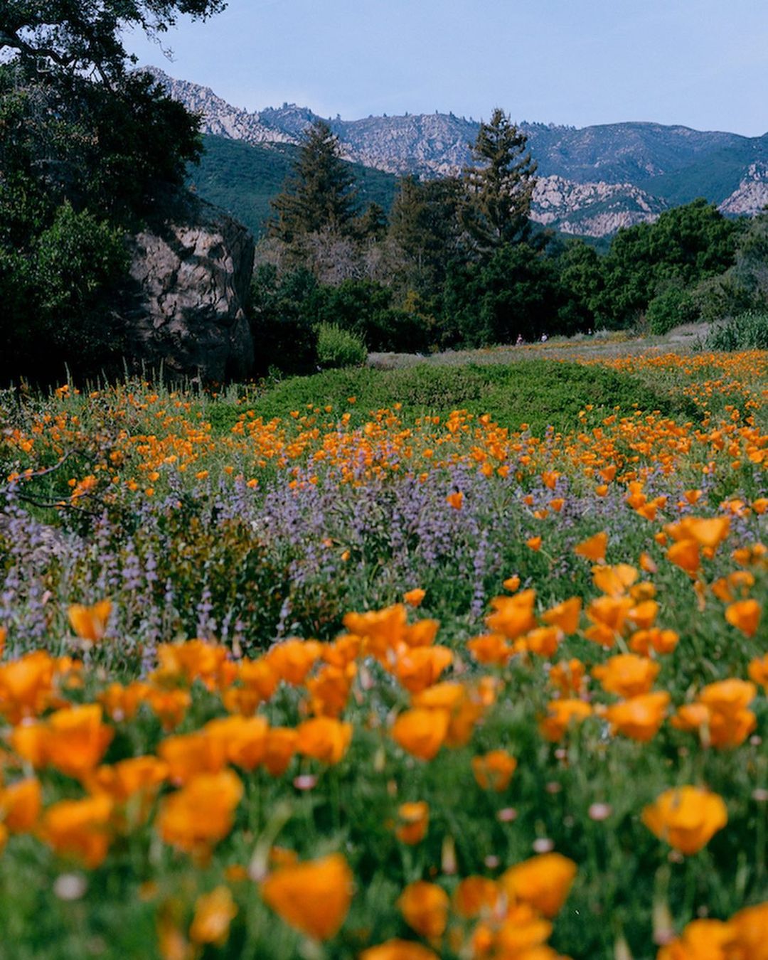 Belmond El Encanto |  Oct. 23